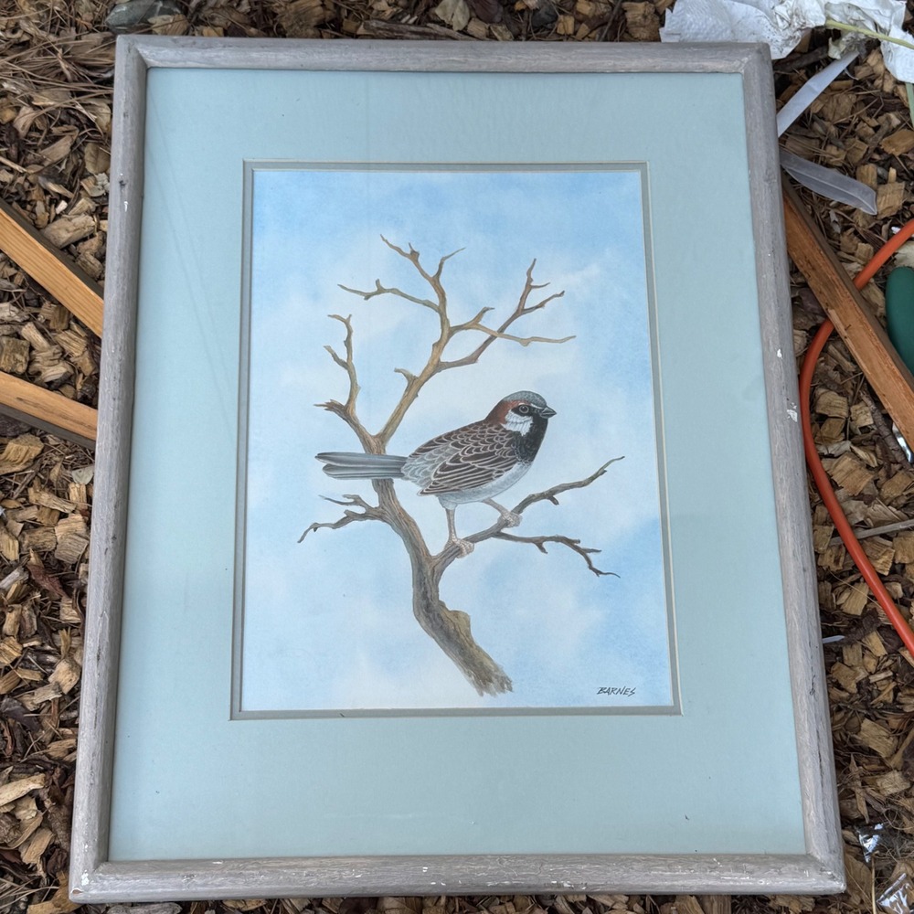Barnes Original Watercolor Bird Painting Framed Sparrow Nature Art 17x21